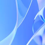 How to Install Droip into Local WP Server?